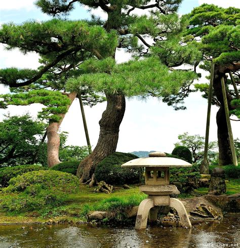 The 5 Elements Of The Japanese Toro