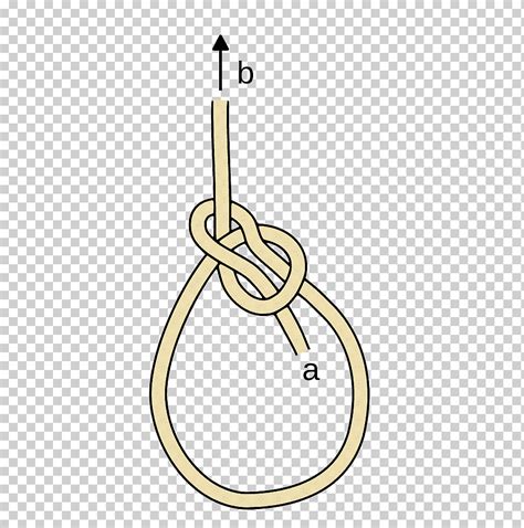 Cowboy Bowline The Ashley Book Of Knots Reef Knot Bowline Clove Hitch