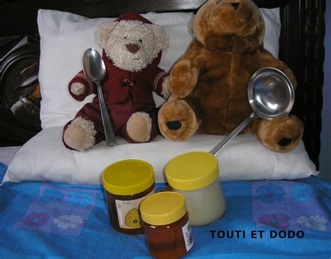 TOUTI ET DODO FONT UNE PAUSE MIEL LA CUISINE DES OURSONS GOURMANDS