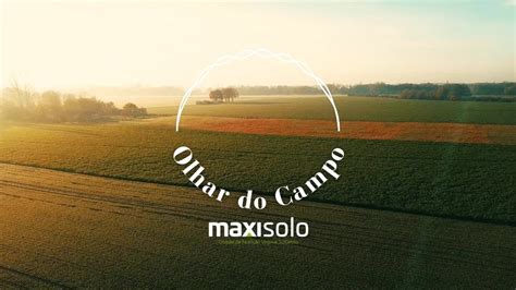 Série OLHAR DO CAMPO Benefícios do SulfaBor na lavoura de tomate