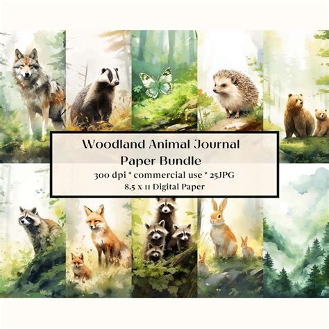 25 Woodland Animal Digital Paper Watercolor Forest Printable Pages