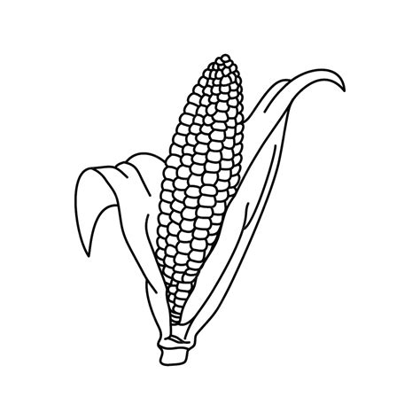 Premium Vector Corn Hand Drawn Vector Illustration Cartoon Corn