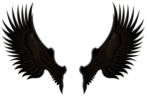 Wings Png Transparent Image Download Size 600x395px