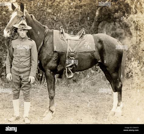 Soldier and horse hi-res stock photography and images - Alamy