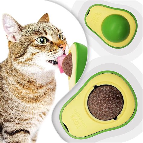 Aguacate De Catnip Para Gatos I Cats