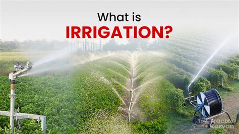 What Is Irrigation Types Methods And Importance