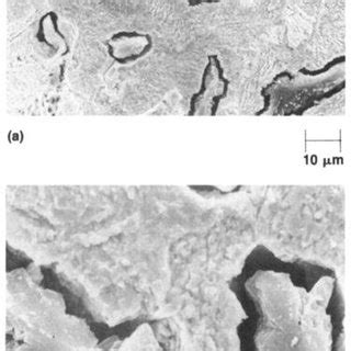 Microstructure Of Gray Cast Irons A Un Etched And B Etched