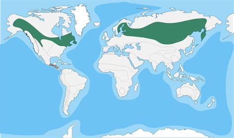 Taiga Biome Map