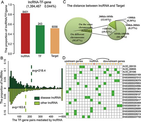 Identification And Characterization Of Lncrna Mediated Transcriptional