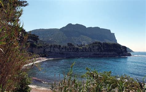Beach And Cassis Cliffs Stock Photo Image Of Path Park 95723686