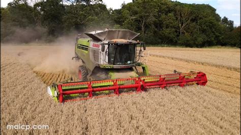 K Harvest Pll S Claas Lexion Tt Cutting Wheat In Kelsale