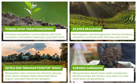 Manfaat Teknik Dan Konsep Pertanian Regeneratif