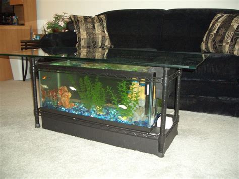 75 Gallon Tank Dimensions Benia Aquarium Fish