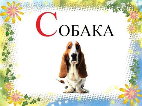 Слово "СОБАКА" откуда? - YouTube