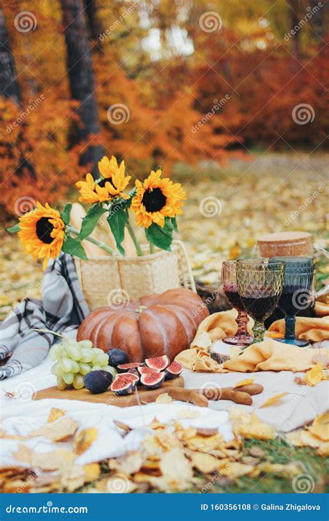 Autumn Still Life With Pumpkin Figs And Sunflowers Picnic On Glade