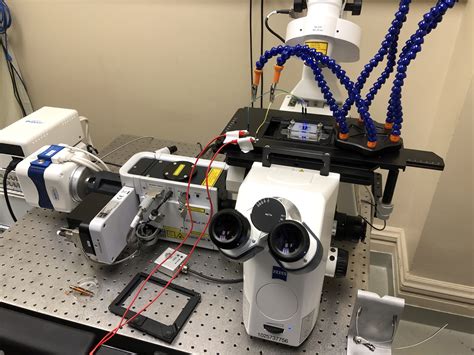 Microscope Viewing Well — Andrew William Parda