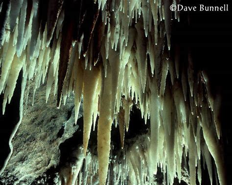 The Virtual Cave: Stalactites