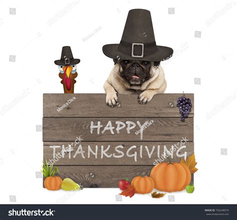 Happy Thanksgiving With Dog Atelier Yuwaciaojp