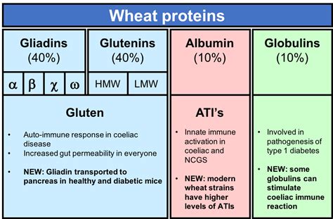 Gluten What We Learned In 2016 Part 1 Rosemary Cottage Clinic Blog