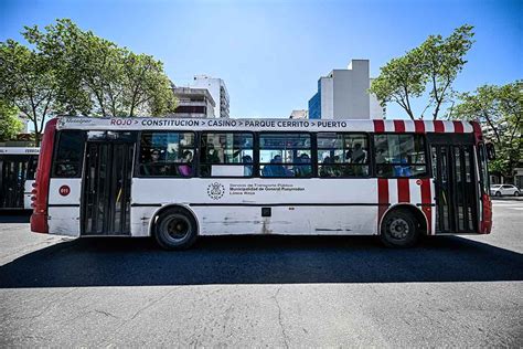 Tránsito Cortes Y Cambios En Colectivos Por Los 21k De Mar Del Plata