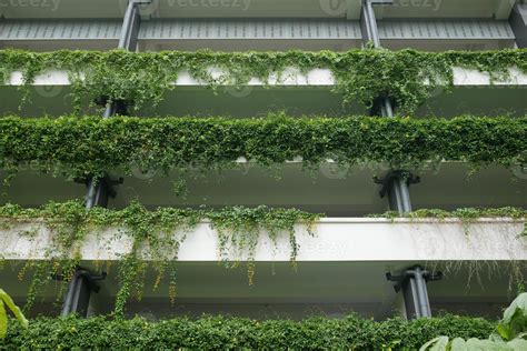 Building With Plants Growing On The Facade 10324536 Stock Photo At Vecteezy