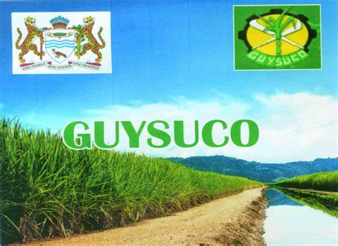 GAWU Writes To GuySuCo As Corporation Goes Mum On Sugar Workers Call