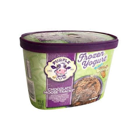 Meijer Denali Chocolate Moose Tracks Chocolate Frozen Yogurt With