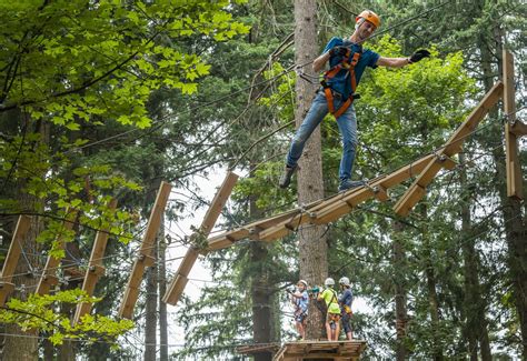 Parco Avventura Jungle Raider Park Albavilla Italiana Parchi