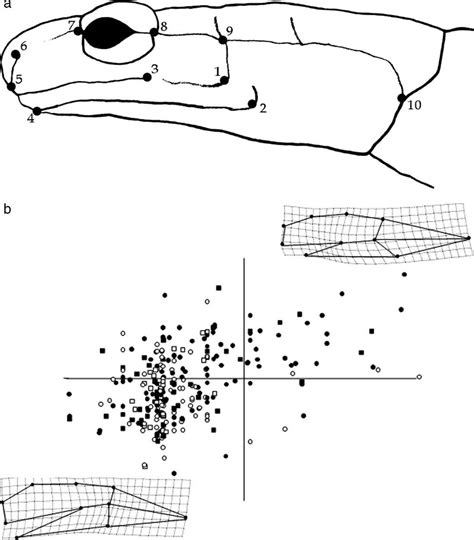 positions   landmarks    study  landmarks