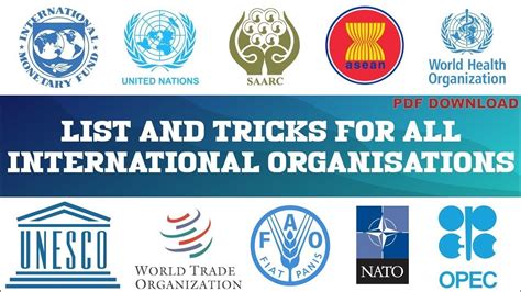 International Organizations in the International Political System