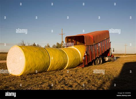 Cotton Bale Stock Photos And Cotton Bale Stock Images Alamy