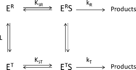 Simplified Model Of The Two State Allosteric Enzyme The Enzyme Download Scientific Diagram