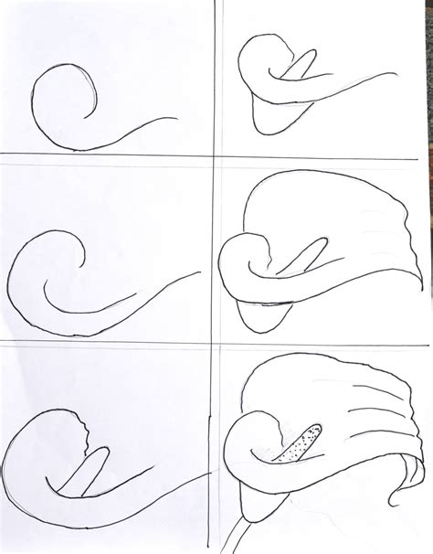 How To Draw A Calla Lily Drawing Rjuuc Edu Np