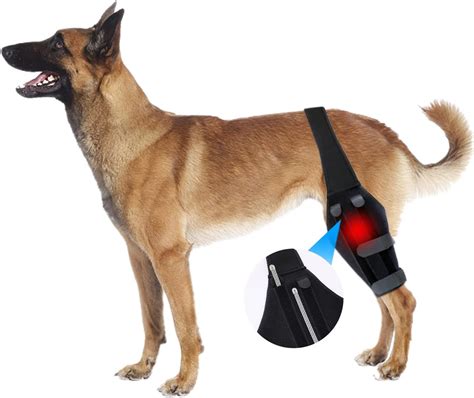 Limmax Dog Knee Brace For Torn Acl Hind Leg Dog Hind Leg