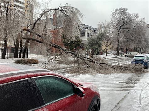 Ottawa's post-ice storm cleanup continues | CityNews Ottawa