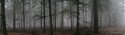 Panoramic Forest By Leenzuydgeest On Deviantart