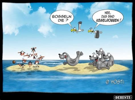 Bosseln die? Nee, das sind Kegelrobben! - DEBESTE.de