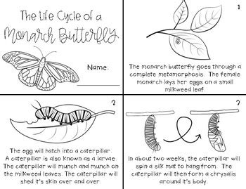 Monarch Butterfly Life Cycle Mini Book | TpT