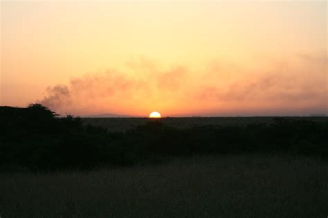 Sunrise on safari | Travel abroad, Sunrise, Beautiful images