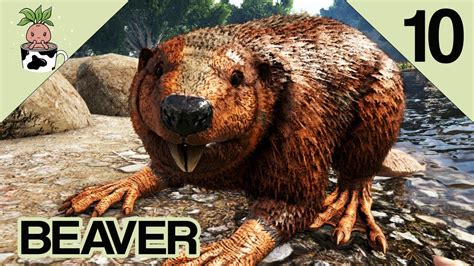 Ark Survival Evolved The Island Ep 10 Castoroides Taming Youtube