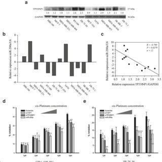 Schematic Representation Of The Effects Of Mir A On Chemoresistacne