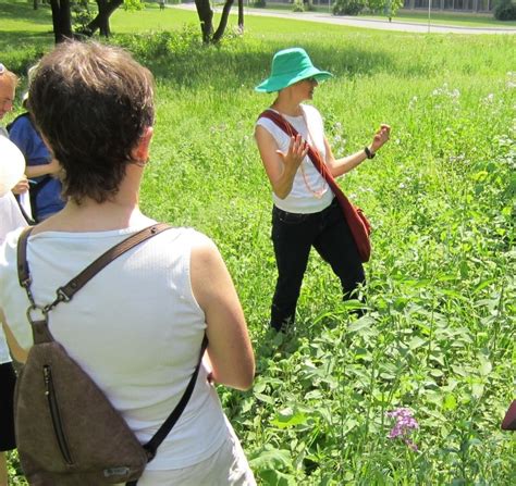 Plant Walks Qanda The Wild Garden