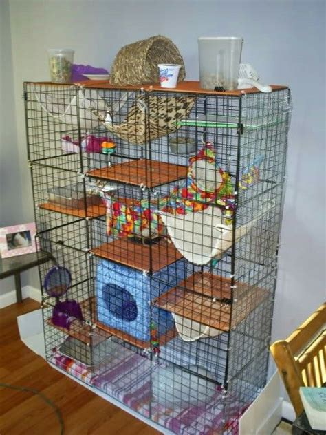 C&C rat cage Hamsters, Chinchillas, Ferrets Care, Pet Rodents, Cute ...