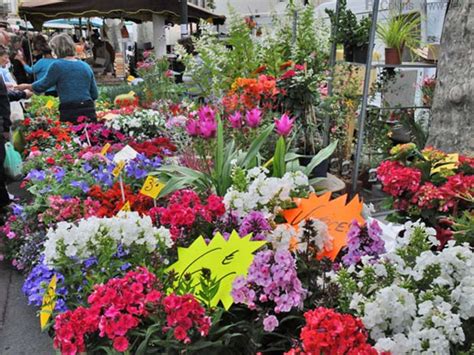 The Best Markets In Languedoc La Calade A Guide