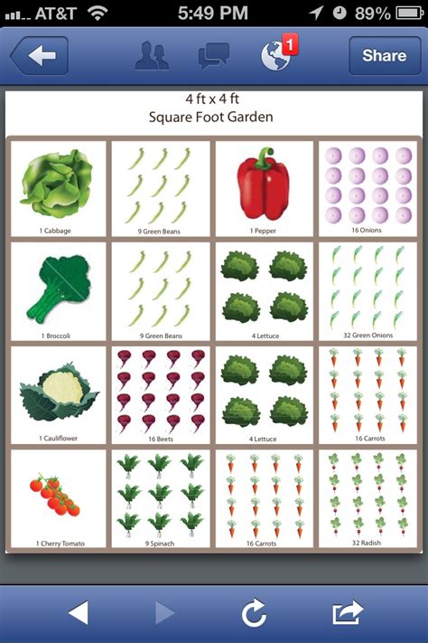 Printable Square Foot Gardening Template - Printable Word Searches