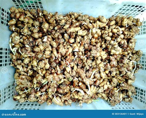 A Collection Of Clean Galangal Tubers For Sale At The Market Stock