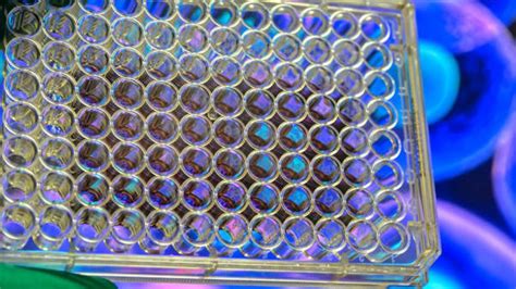 Optimizing And Applying Cell Culture Technology Technology Networks