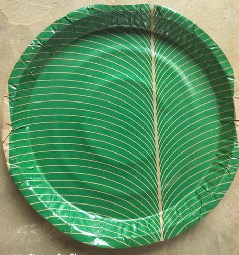 Inch Green Paper Plate At Rs Pack In Bengaluru