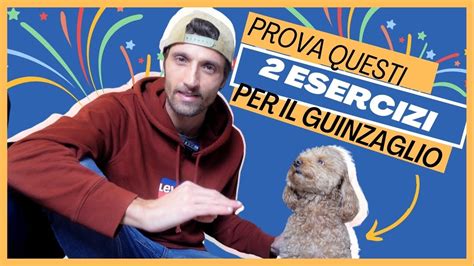 Insegnare Al Cane A Non Tirare Il Guinzaglio Esercizi Bonus