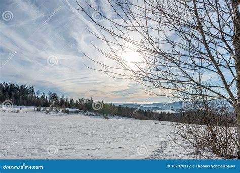 Snow Covered Landscape of Bavarian Forest with View To the Alps ...